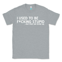 Heather Grey i used to be f cking stupid Classic Tee - linhVisuals