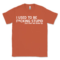 Copper i used to be f cking stupid Classic Tee - linhVisuals