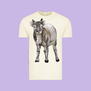 Reindeer Fawn Deer Vintage Tee Designed By Lillyallendesigns