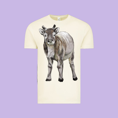 Reindeer Fawn Deer Vintage Tee Designed By Lillyallendesigns