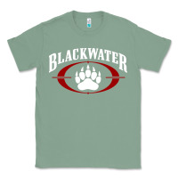 Sage blackwater Classic Tee - linhVisuals