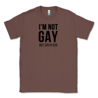 Chestnut i'm not gay but $20 is $20 (white) Classic Tee - linhVisuals