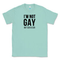 Seafoam i'm not gay but $20 is $20 (white) Classic Tee - linhVisuals