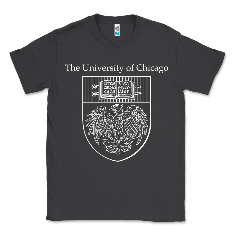 Chicago Classic Tee by linhVisuals | Teevron