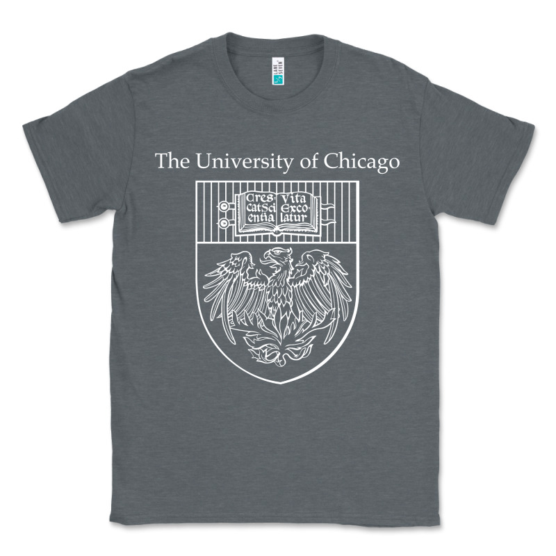 Chicago Classic Tee by linhVisuals | Teevron