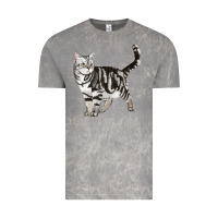 Cloud Rock American Shorthair Cat Vintage Tee - LillyAllenDesigns