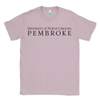 Lilac University of North Carolin Pembroke Classic Tee - linhVisuals