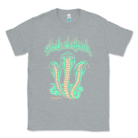 Heather Grey tash sultana müsïc Classic Tee - linhVisuals