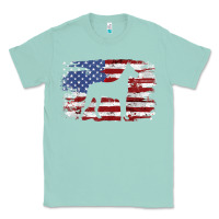 Seafoam great dane vintage american flag t shirt Classic Tee - linhVisuals