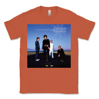 Copper Cranberries Dolores O'Riordan Classic Tee - linhVisuals