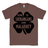 Chestnut prone to shenanigans and malarkey Classic Tee - linhVisuals