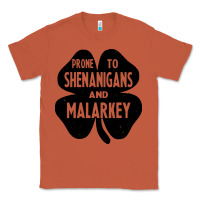 Copper prone to shenanigans and malarkey Classic Tee - linhVisuals