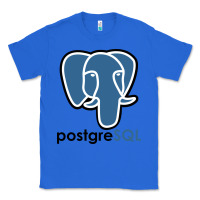 True Royal Postgresql Classic Tee - linhVisuals