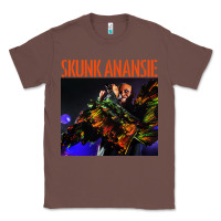 Chestnut skunk anansie Classic Tee - linhVisuals