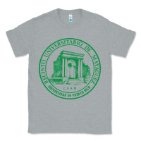 Heather Grey University of Puerto Rico Mayagüez Classic Tee - linhVisuals
