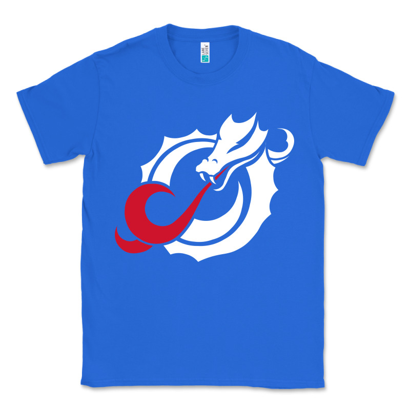 Msum Dragons, Gear Classic Tee by linhVisuals | Teevron