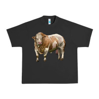 Pigment Black simmental bull Urban Heavy Tee - LillyAllenDesigns