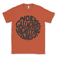 Copper noel gallagher's high flying birds classic Classic Tee - linhVisuals