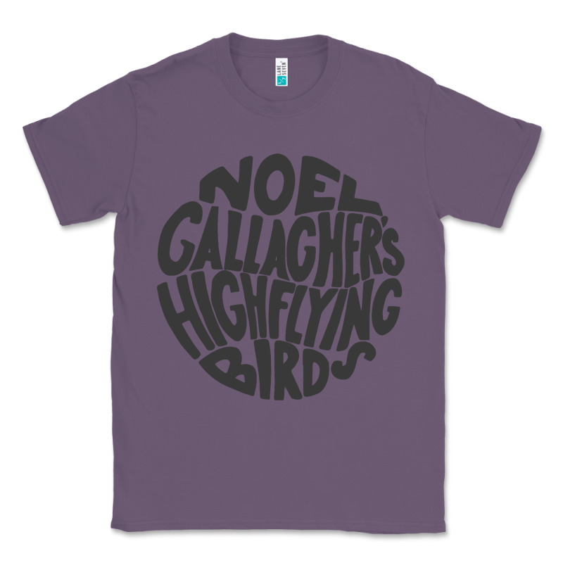 Noel Gallagher's High Flying Birds Classic Classic Tee by linhVisuals | Teevron