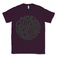 Plum noel gallagher's high flying birds classic Classic Tee - linhVisuals
