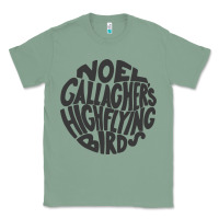 Sage noel gallagher's high flying birds classic Classic Tee - linhVisuals