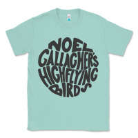 Seafoam noel gallagher's high flying birds classic Classic Tee - linhVisuals