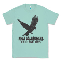 Seafoam noel gallagher's high flying birds classic Classic Tee - linhVisuals