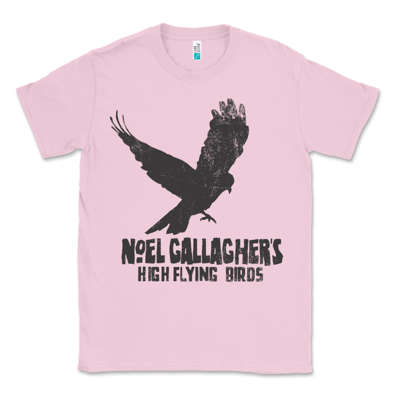 Noel Gallagher's High Flying Birds Classic Classic Tee by linhVisuals | Teevron