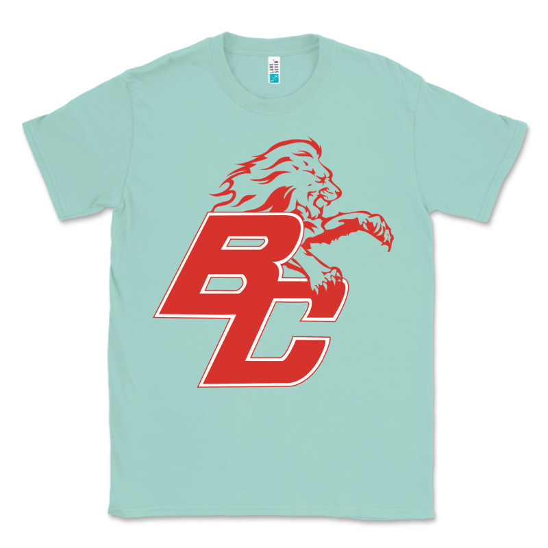 Boyd County High School Baseball Classic Tee by linhVisuals | Teevron