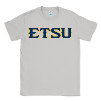Moon Dust etsu buccaneers Classic Tee - linhVisuals