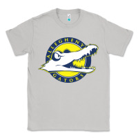 Moon Dust allegheny merch Classic Tee - linhVisuals