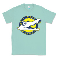 Seafoam allegheny merch Classic Tee - linhVisuals