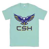 Seafoam cold springs high school Classic Tee - linhVisuals
