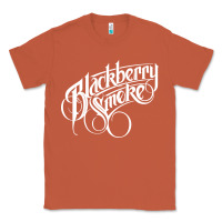 Copper blackberry smoke tour Classic Tee - linhVisuals