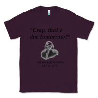 Plum funny thomas jefferson usa history teacher student gift t shirt Classic Tee - linhVisuals