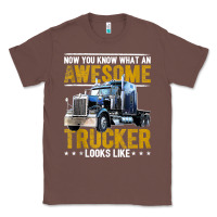 Chestnut awesome trucker big rig semi trailer truck driver gift men tank top Classic Tee - linhVisuals