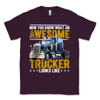 Plum awesome trucker big rig semi trailer truck driver gift men tank top Classic Tee - linhVisuals