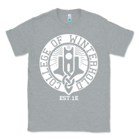 Heather Grey college of winterhold Classic Tee - linhVisuals