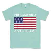 Seafoam pro america anti trump shirt   american usa flag resist t shirt Classic Tee - linhVisuals