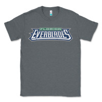 Charcoal Heather florida everblades Classic Tee - linhVisuals