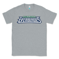 Heather Grey florida everblades Classic Tee - linhVisuals