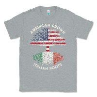 Heather Grey american grown italian roots usa italy flag tree Classic Tee - linhVisuals