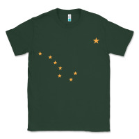 Sports Green flag of alaska Classic Tee - linhVisuals