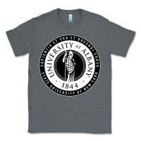Charcoal Heather University Albany Suny Classic Tee - linhVisuals