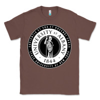 Chestnut University Albany Suny Classic Tee - linhVisuals