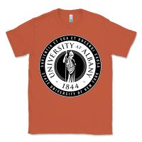 Copper University Albany Suny Classic Tee - linhVisuals