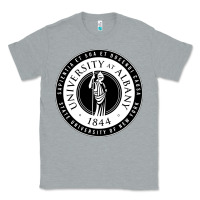 Heather Grey University Albany Suny Classic Tee - linhVisuals