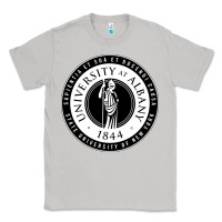 Moon Dust University Albany Suny Classic Tee - linhVisuals