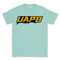 Seafoam this-arkansas-pine-bluff Classic Tee - linhVisuals