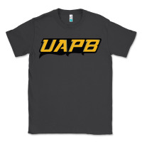 Smoke this-arkansas-pine-bluff Classic Tee - linhVisuals